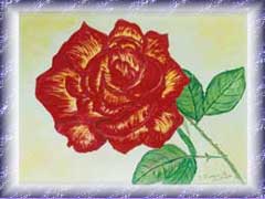 Rote Rose