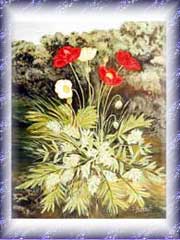 Sommerblumen